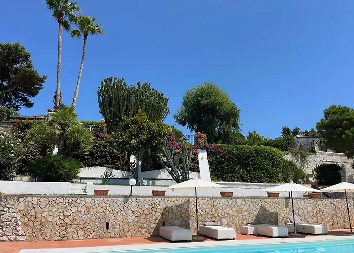 Hotel Con Piscina Manni